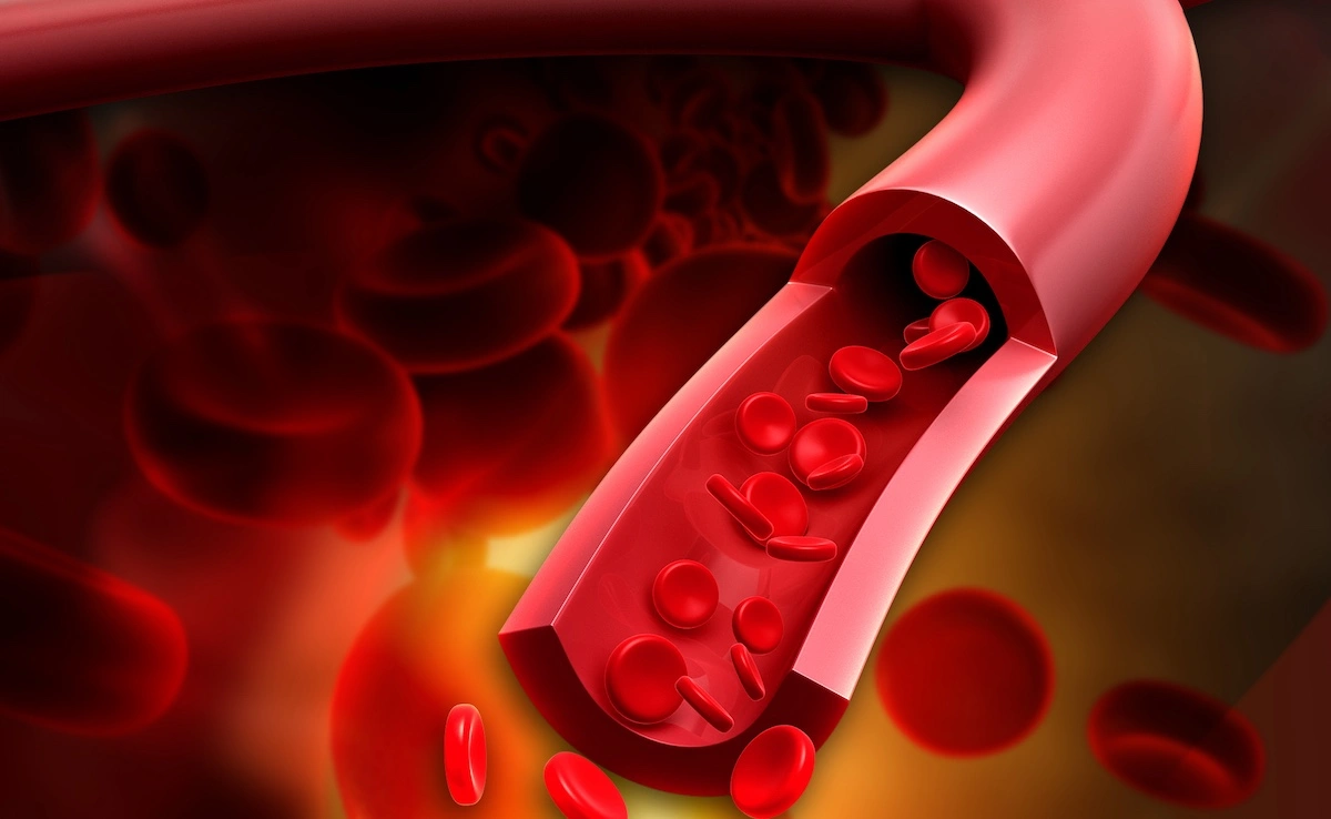 Red blood cells flowing inside a vessel schematic depiction