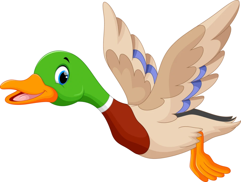 Flying duck